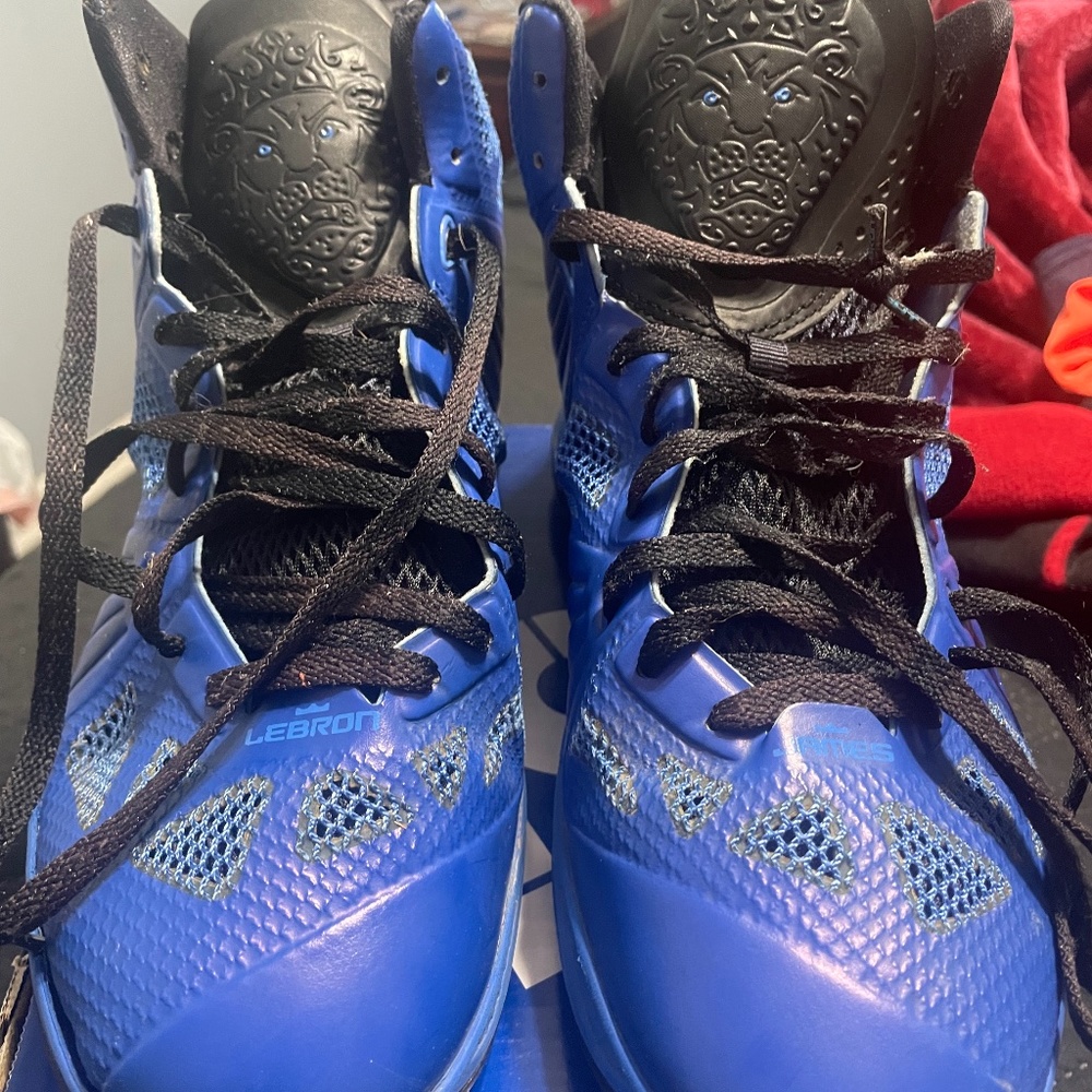 Lebron 8